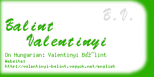 balint valentinyi business card